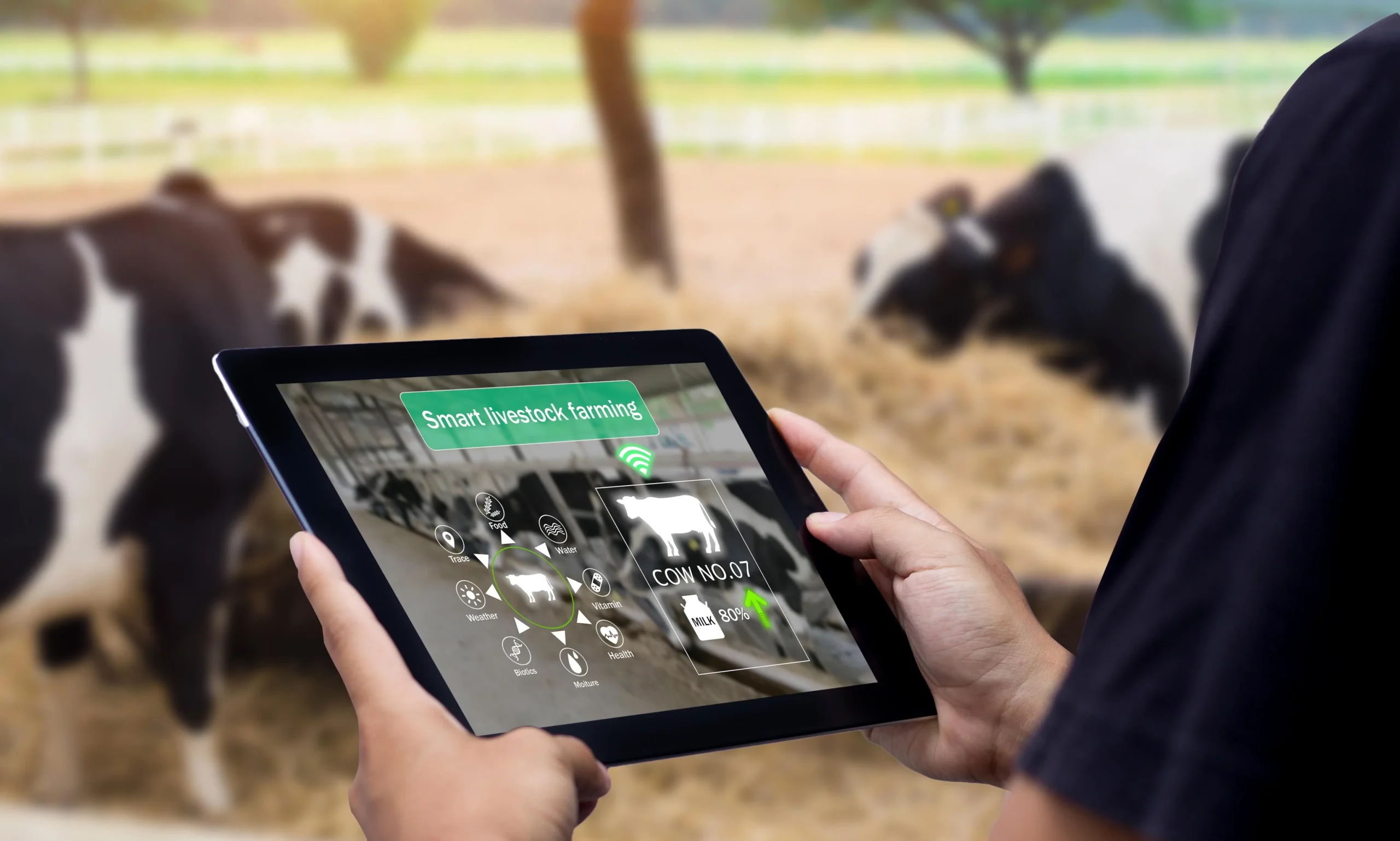 Digital Farming & Smart Feed Management: The Future of Sustainable Agriculture