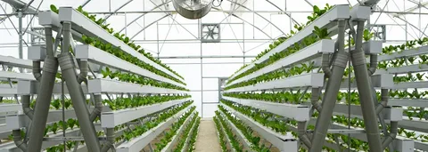 Hydroponics market