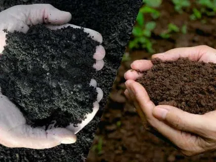 Soil Conditioners Market Growth Forecast 2035