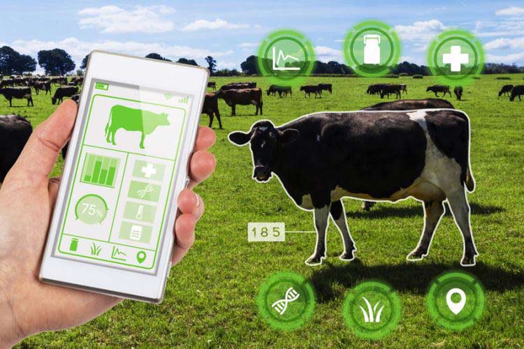 Livestock Monitoring Market Growth, Trends & Forecast 2035!