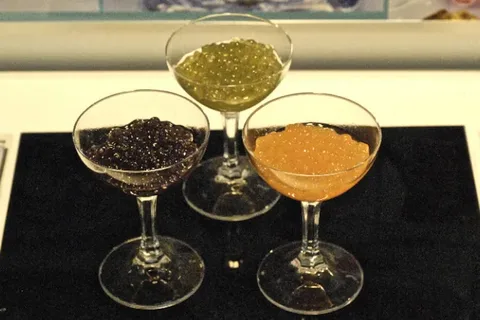 Alginates and Derivatives Market Growth to USD 3.19Bn