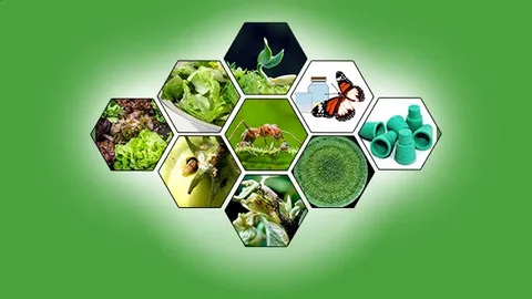 Bio-Pesticides Market to Reach USD 7.4 Bn by 2032 from USD 3.8 Bn in 2025 at ~9.8% CAGR, as per Stalwart Research Insights